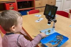 IMG-20250212-WA0003