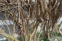 IMG-20250212-WA0009