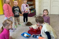 IMG-20250212-WA0015