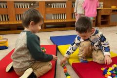 IMG-20250212-WA0017