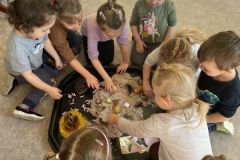 IMG-20250307-WA0024