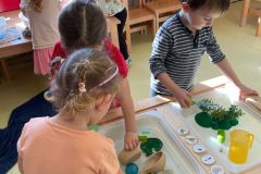 IMG-20250307-WA0026
