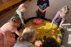 IMG-20250307-WA0029