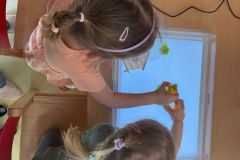 IMG-20250307-WA0030