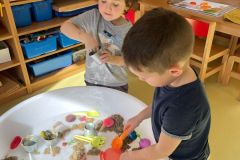 IMG-20250307-WA0031