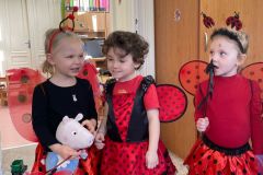 IMG-20250307-WA0041