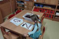 IMG-20240926-WA0007