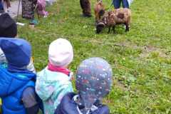 IMG-20241014-WA0000
