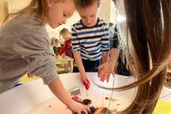 IMG-20250307-WA0007
