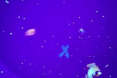 IMG-20250423-WA0028
