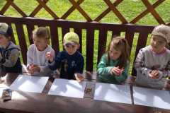 IMG-20250515-WA0005