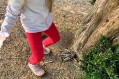 IMG-20250612-WA0001