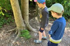 IMG-20250612-WA0006
