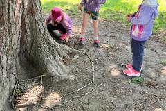 IMG-20250612-WA0013