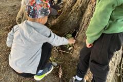 IMG-20250612-WA0014