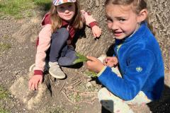 IMG-20250612-WA0017
