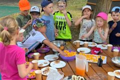 IMG-20250625-WA0001