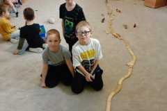 IMG-20250226-WA0011