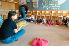 IMG-20250226-WA0025