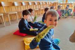 IMG-20250226-WA0030