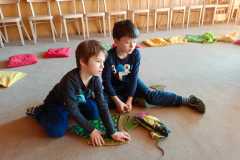 IMG-20250226-WA0034
