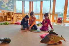 IMG-20250226-WA0035