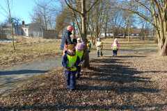 IMG-20250227-WA0001