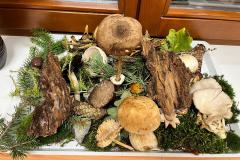 IMG-20251002-WA0004