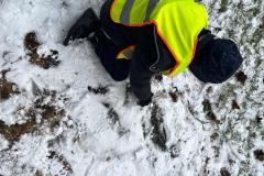 IMG-20251124-WA0010