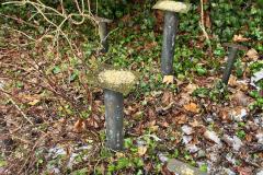 IMG-20260126-WA0005