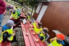 IMG-20250526-WA0017