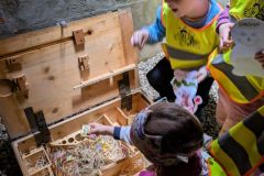 IMG-20250528-WA0045