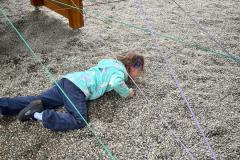 IMG-20250530-WA0013