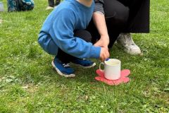 IMG-20260420-WA0060