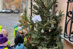 IMG-20241211-WA0034