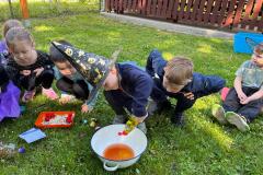 IMG-20250514-WA0046