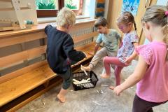 IMG-20250609-WA0005