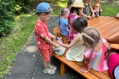 IMG-20250625-WA0003