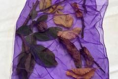 IMG-20251016-WA0009
