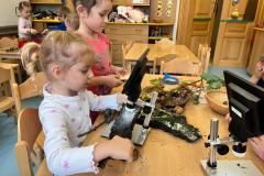 IMG-20251016-WA0010