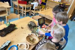 IMG-20251016-WA0017