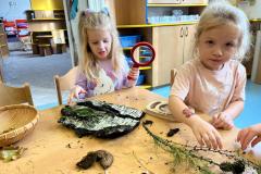 IMG-20251016-WA0028