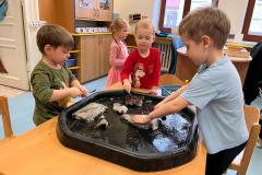 IMG-20260113-WA0053