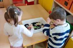 IMG-20260326-WA0000