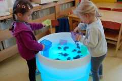 IMG-20260326-WA0012