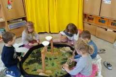 IMG-20260326-WA0023