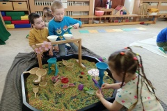 IMG_20250331_093513