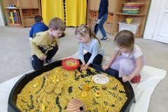 IMG_20250331_093521