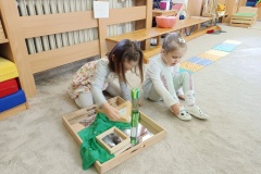 IMG_20250331_093528