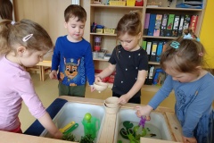 IMG_20250331_093614